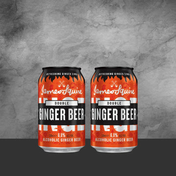 2 James Squire Double Ginger Beer Can 330ml - Tastebuds