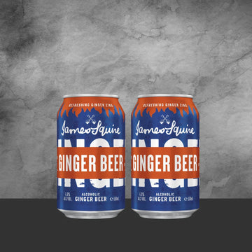 2 James Squire Ginger Beer Can 330ml - Tastebuds