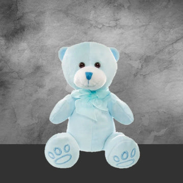 Soft Sammy Teddy Bear - Tastebuds