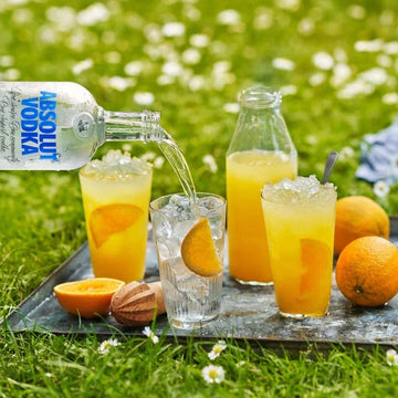 Absolut Vodka Christmas Hamper - Tastebuds