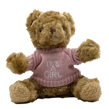 It's a Girl Teddy Bear - Tastebuds