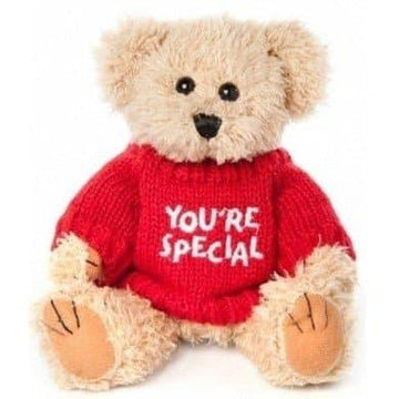 You're Special Teddy Bear - Tastebuds
