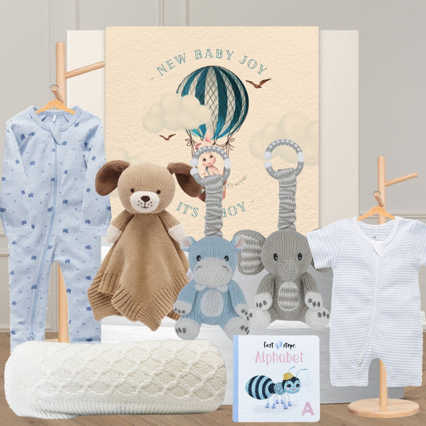 Little Darling Baby Boy Hamper - Tastebuds