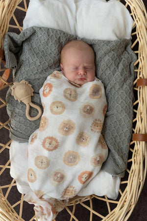 Little Lion Rattle Hamper - Tastebuds