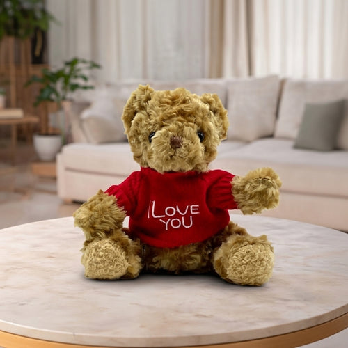 I Love You Teddy