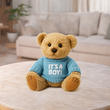 It's A Boy Teddy