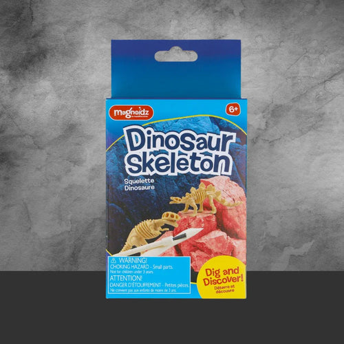 Magnoidz Dig And Discover Dinosaur Skeleton Kit