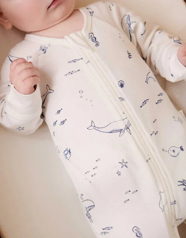 Baby Boy Cuddles Hamper - Tastebuds