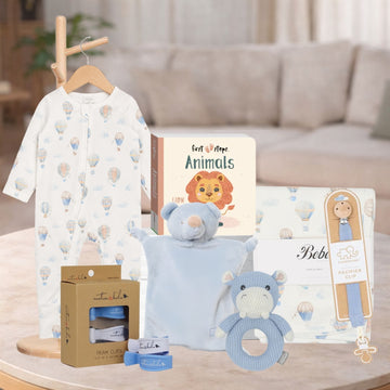 Snuggles Baby Boy Hamper