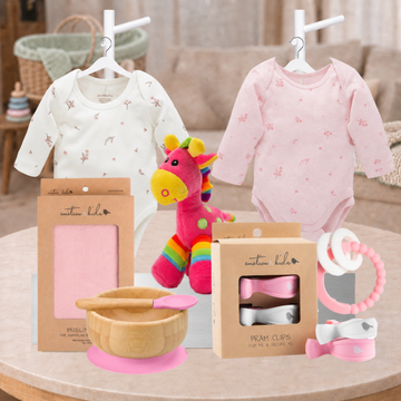 Baby Girl Cuddles Hamper