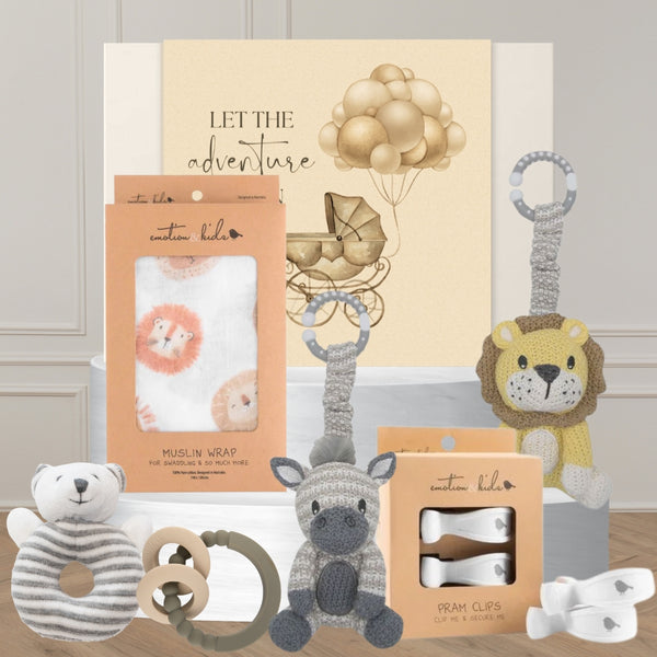 Little Lion Rattle Hamper