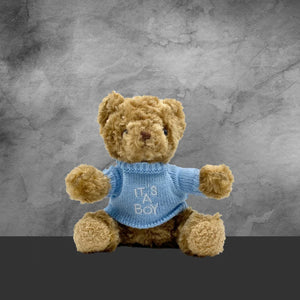 Teddy Bear With It's A Boy - Tastebuds