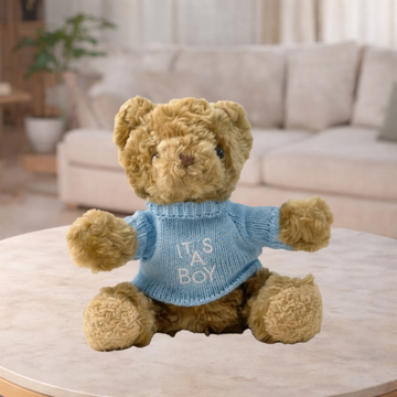Teddy Bear With It’s a Boy