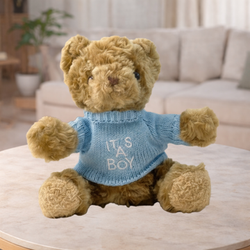 Teddy Bear With It's A Boy