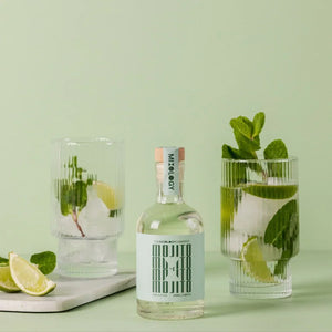Bottle of gin with two glasses of gin and tonic on a light green background