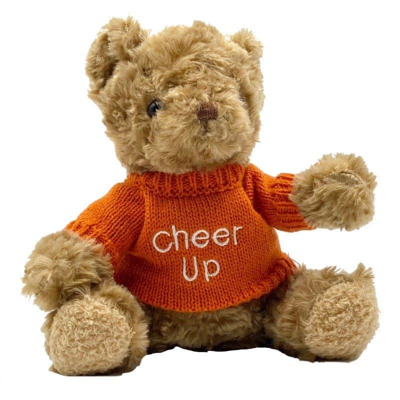 Cheer Up Teddy Bear - Tastebuds