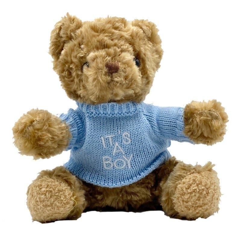It's a Boy Teddy Bear - Tastebuds