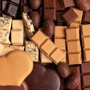 Vegan Family Bliss - Tastebuds